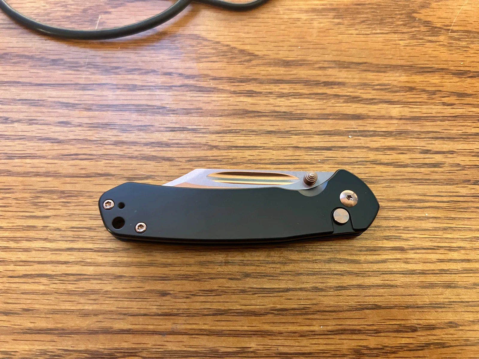 CJRB Bronze Bowie Pyrite with brown scales closed