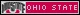 Buckeye badge